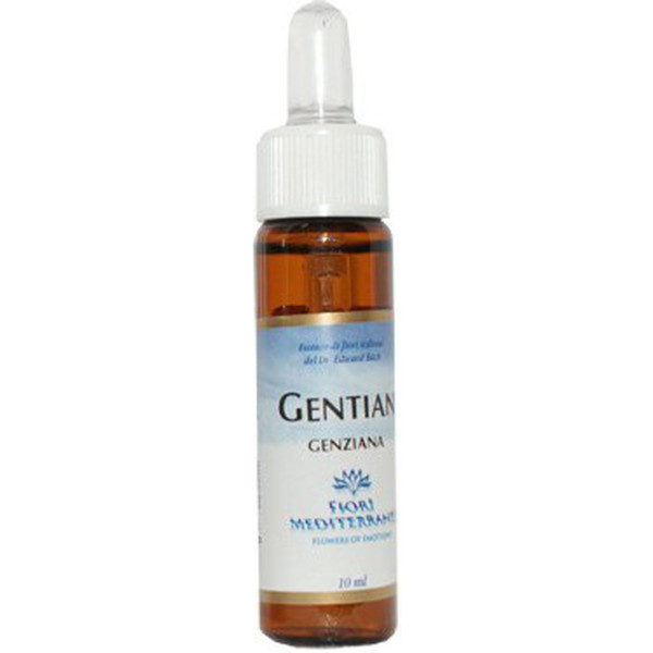 Forza Vitale Fm Gentian (genciana) 10 Ml De Elixir Floral