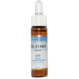 Forza Vitale Fm Mustard (mostaza) 10 Ml De Elixir Floral