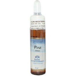 Forza Vitale Fm Pine (pino Silvestre) 10 Ml De Elixir Floral