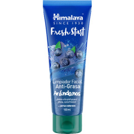 Himalaya Herbals Healthcare Blueberry Clarifying Facial Cleanser 100 Ml