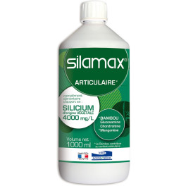 Labo Sante Silice Silamax Silicio 1 L