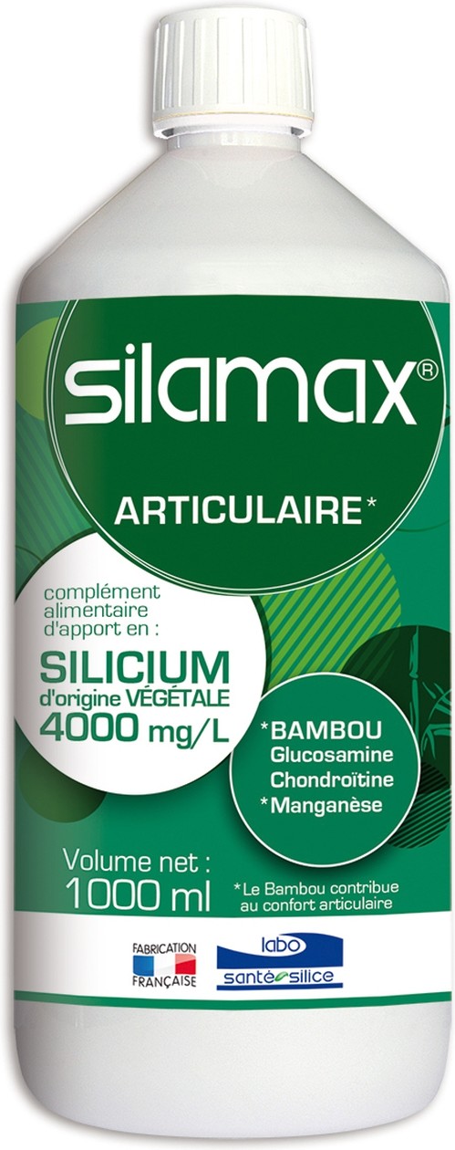 Labo Sante Silice Silamax Silicio 1 L