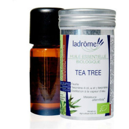 Ladrome árbol De Té 10 Ml De Aceite Esencial (árbol Del Té)