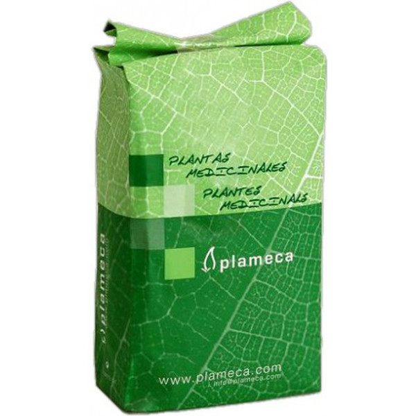 Plameca Té Blanco 100% 1 Kg