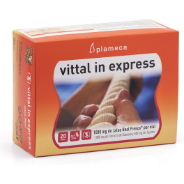 Plameca Vittal En Gelée Royale Express 20 Ampoules De 10 ml