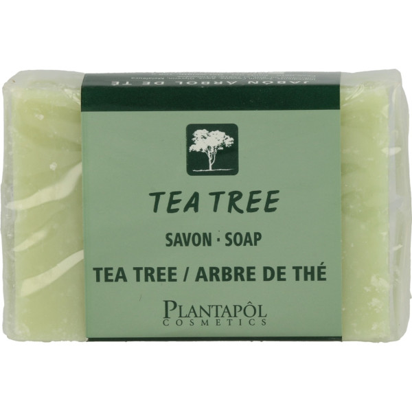 Planta Pol Jabón árbol Del Té 100 G