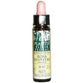 Plantis Fiori di Bach Pink Sil-37 Elisir floreale Eco 10 ml Elisir floreale