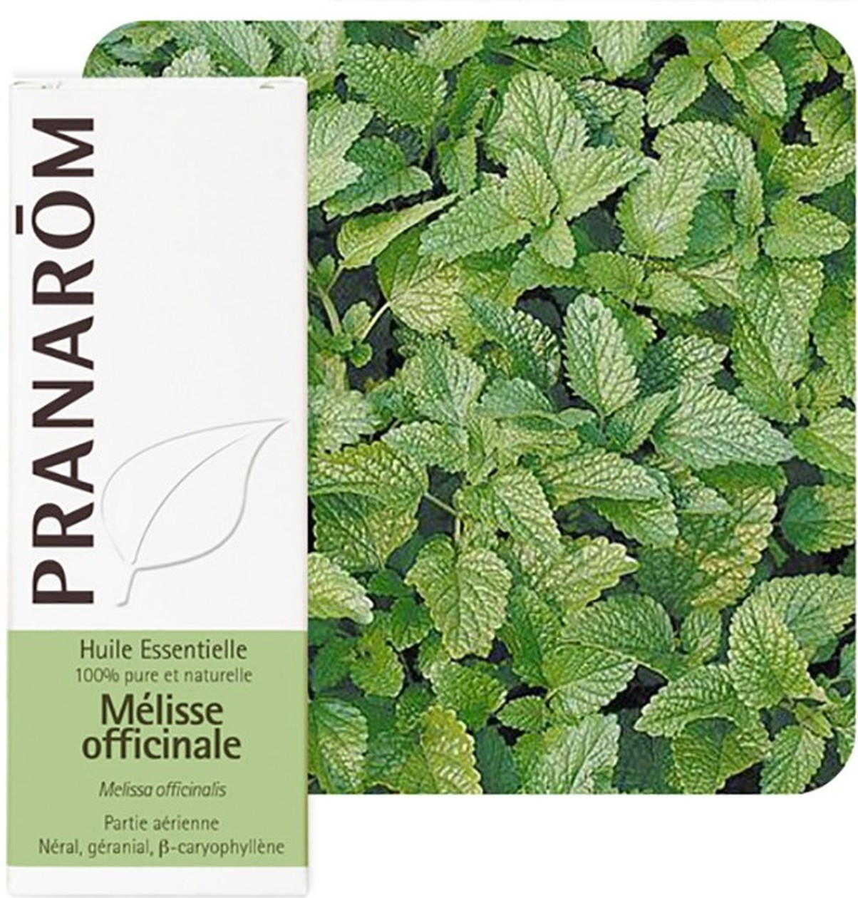 Pranarom Melisa Aceite Esencial 5 Ml De Aceite Esencial-image
