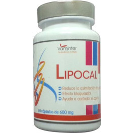 Vaminter Lipocal 60 Caps