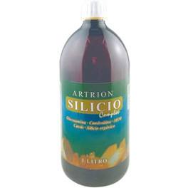 Jellybell Artrion Silicium Complex 1 L