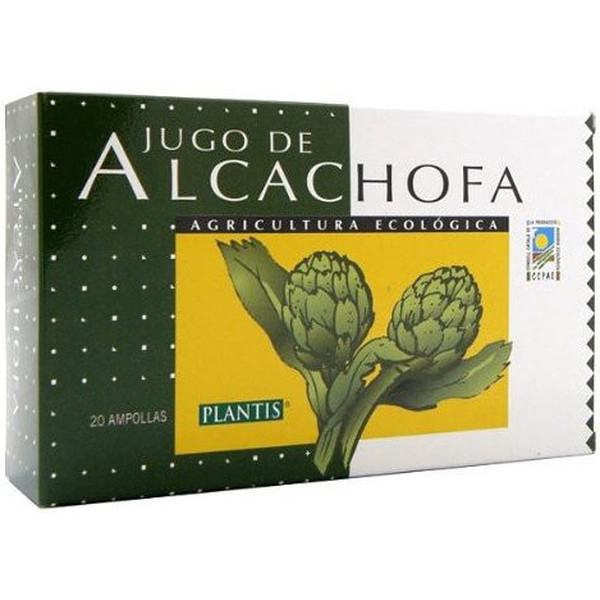Artesania Alcachofa Eco Plantis 20 Amp