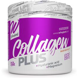 Wheyland Collagen Plus 358 Gr