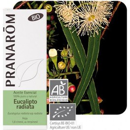 Pranarom Eucalipto Radiata Foglia 10 Ml