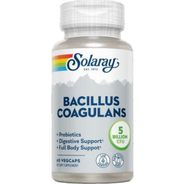 Solaray Bacillus Coagulans 60 Vegcaps