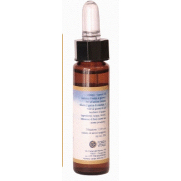 Forza Vitale Fm Cerato (ceratostigma) 10 Ml De Elixir Floral