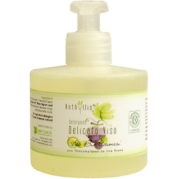 Anthyllis Gel Facial e Mãos Eco 300 ml