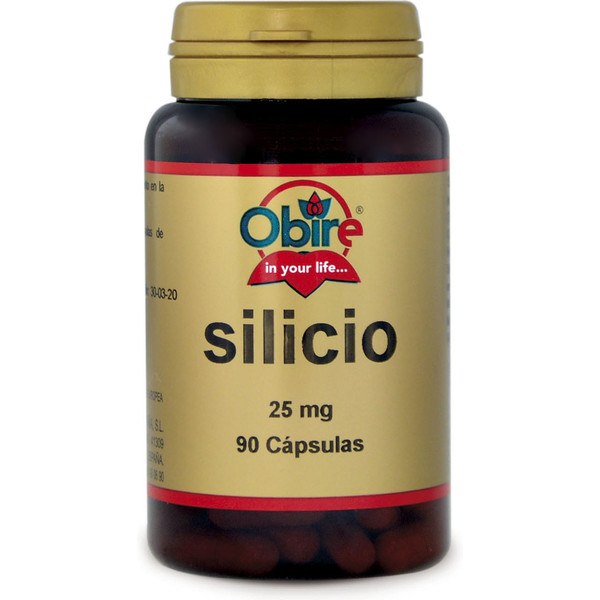 Obire Silicium 25 Mg 90 Gélules