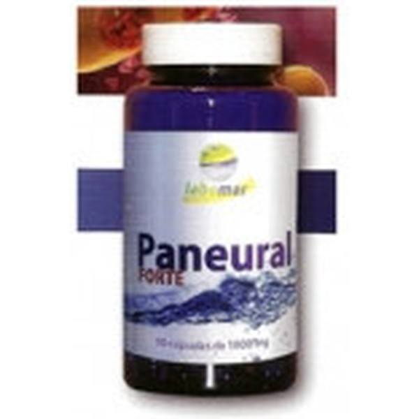 Labmar Paneural Forte 1400 mg 90 parels