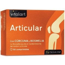 Vitalart Articular 60 Comp Kurkuma en Boswellia