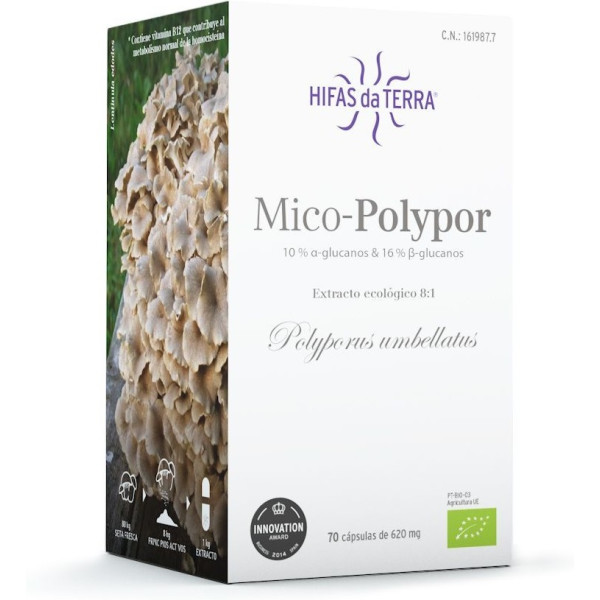 Hyphae Da T Mico-polypor Polyporus Estratto 70 cap