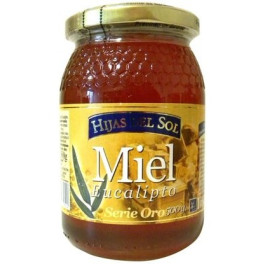 Ynsadiet Miel Eucalipto 500 G