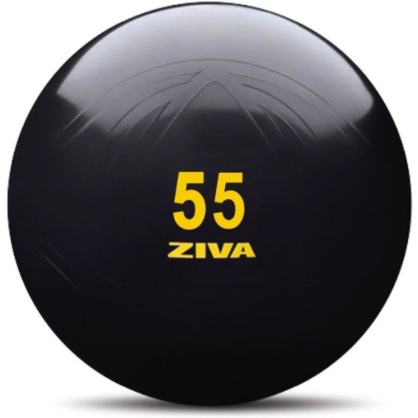 Ziva Fitball Classic - Negro