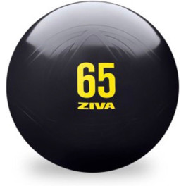 Ziva Fitball Essential Pro Anti-burst
