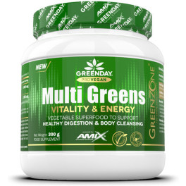 Amix Greenday Provegan Multi Verts Vitalité & Énergie 300 Gr