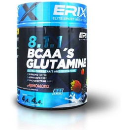 ER Nutrition Glutamina+ Bcaas (ajinomoto) 300 gr