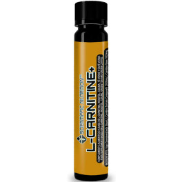 Scientific Nutrition L Carnitin + Carnipure 1 Fläschchen x 30 ml