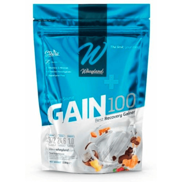 Wheyland Gain 100 3 Kg