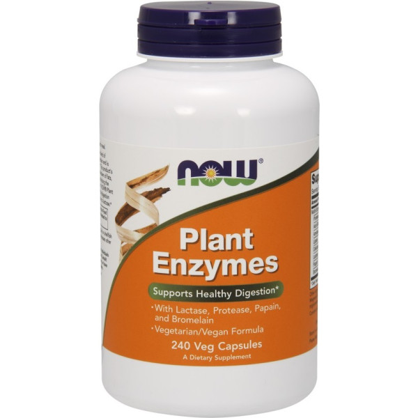 Now Plant Enzymes 240 Vcaps