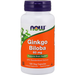 Now Ginkgo Biloba Double Strength 120mg 200 Vcaps