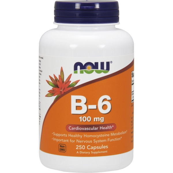 Agora Vitamina B6 100mg 250 Cápsulas