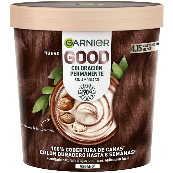 Garnier Goede Permanente Kleuring 4.15 Chestnut Glacé 1 U Woman