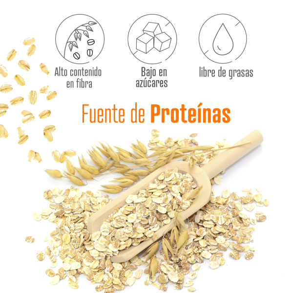 Weider Oat Gourmet 1 Kg - Harina de Avena Integral / Fuente de Proteína con Bajo Contenido en Azúcares