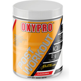 Oxypro Nutrition Post Workout 500gr - Fruit Punch (con Creapure®. Glutamina Kyowa Quality® Y Cluster Dextrin®)