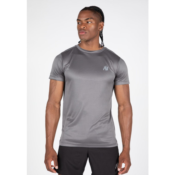 Gorilla Wear Washington T-Shirt – Grau – 3xl