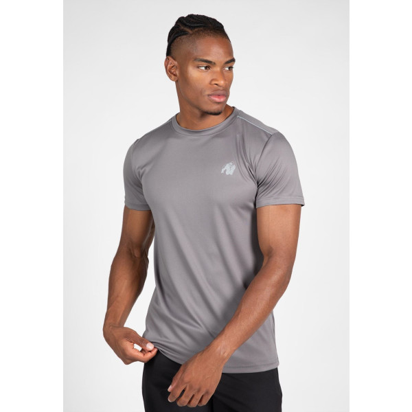 Gorilla Wear Easton T-Shirt – Grau – 2xl