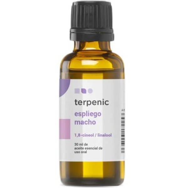 Lavanda Masculina Terpênica 30 Ml