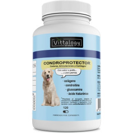 Vittalogy Condroprotector Para Perros. Antiinflamatorio Natural Con Colágeno. Condroitina. Hialurónico Y Cúrcuma. 120 Cápsul