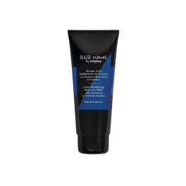 Sisley Hair Rituel Soin Sublimateur Masque Perfecteur De Couleur 200 Ml Unisex