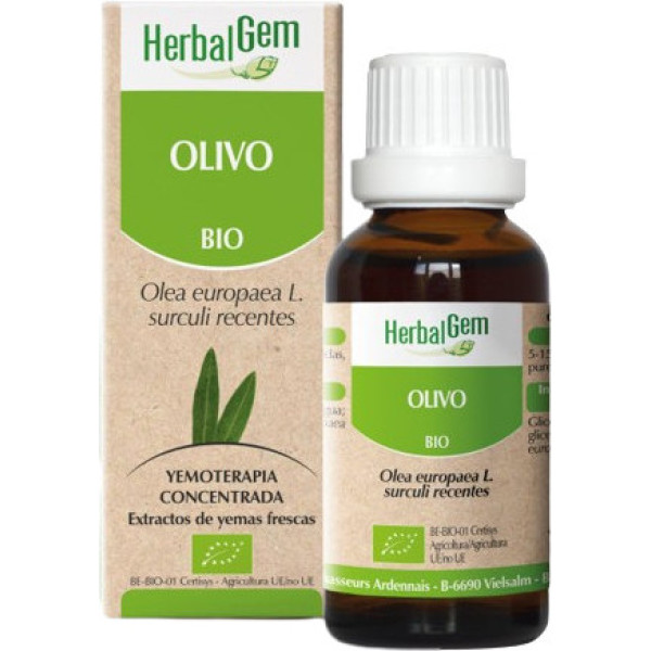 Herbalgem Olivier 50 Ml