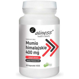 Ainess Extrato de Shilajit 90 Cápsulas