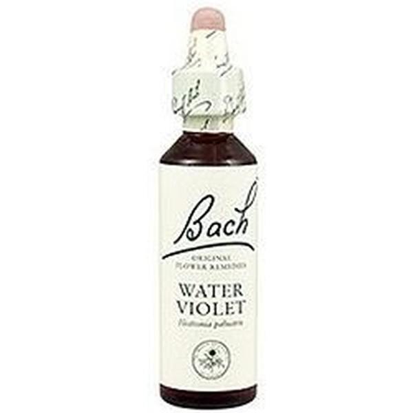 Bach Bloemen Bach 34 Water Violet 20 Ml (Water Violet Bloemen)