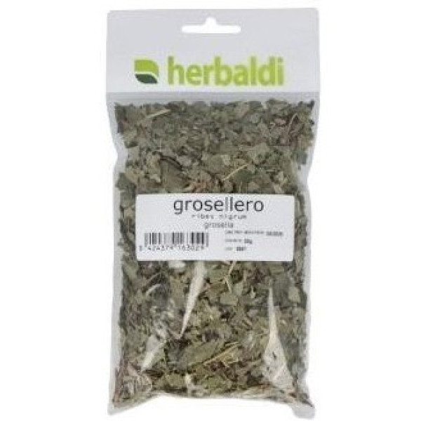 Herbaldi Schwarzes Johannisbeerkraut 50 G