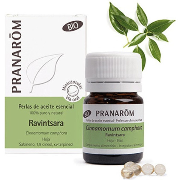 Pranarom Aceite Esen Hoja Ravintsara Bio 60 Perlas