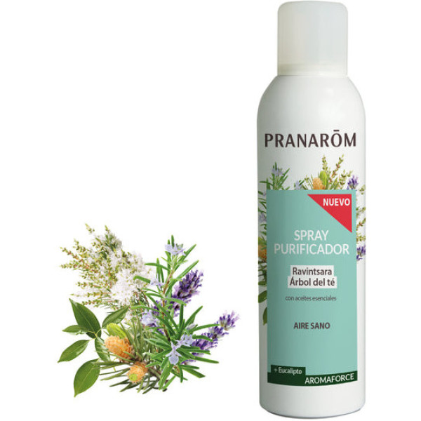 Pranarom Aromaforce Reinigungsspray Ravintsa Arbol Te Bio 150 ml