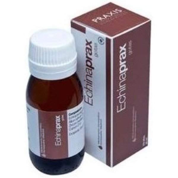 Praxis Echinaprax 60 Ml