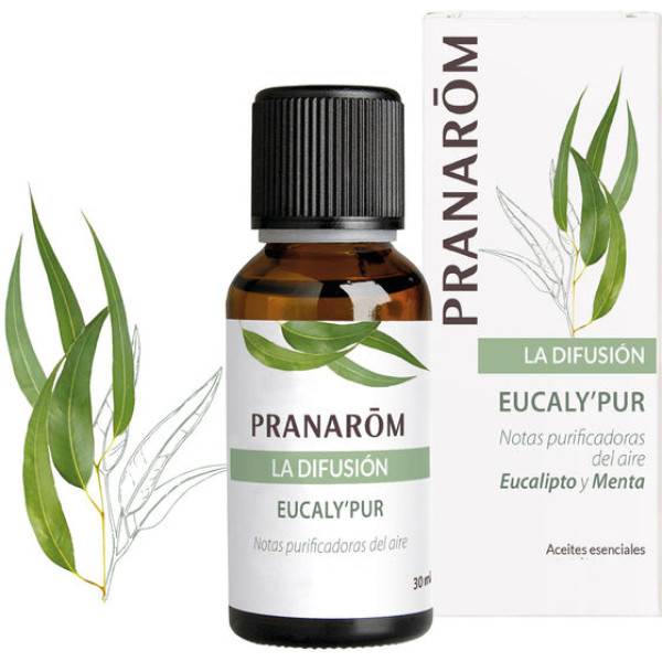 Pranarom Verspreidingsspray Eucalypur Bio (eco) 30 Ml